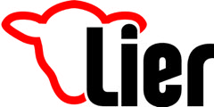 logo stad lier